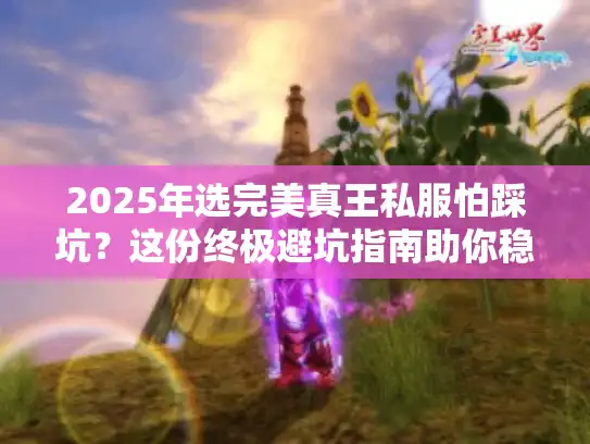 2025年选完美真王私服怕踩坑？这份终极避坑指南助你稳赢！
