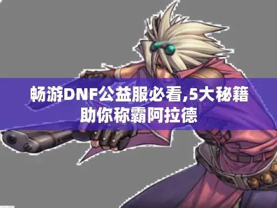 畅游DNF公益服必看,5大秘籍助你称霸阿拉德