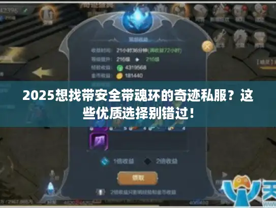 2025想找带安全带魂环的奇迹私服？这些优质选择别错过！