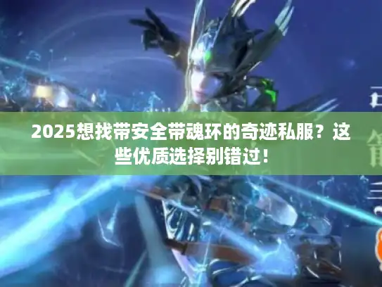 2025想找带安全带魂环的奇迹私服？这些优质选择别错过！