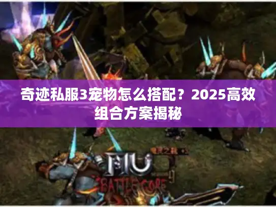 奇迹私服3宠物怎么搭配?2025高效组合方案揭秘 奇迹私服3宠物怎么搭配?2025高效组合方案揭秘