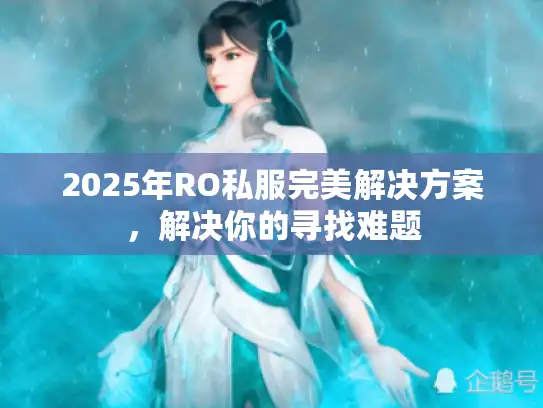2025年RO私服完美解决方案，解决你的寻找难题