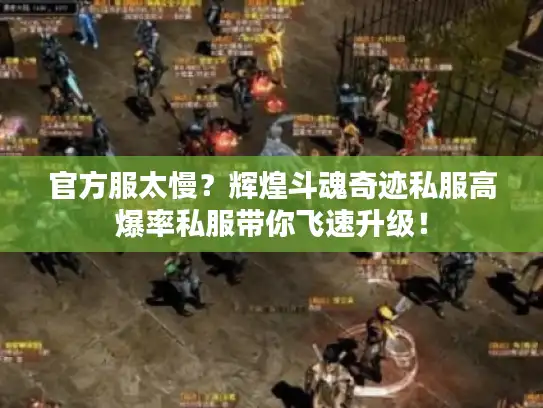 官方服太慢?辉煌斗魂奇迹私服高爆率私服带你飞速升级! 官方服太慢?辉煌斗魂奇迹私服高爆率私服带你飞速升级!
