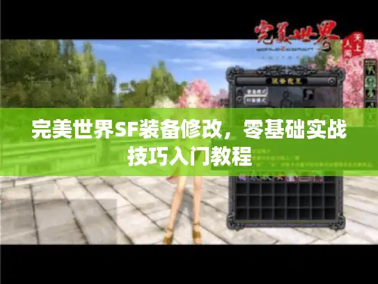 完美世界SF装备修改，零基础实战技巧入门教程