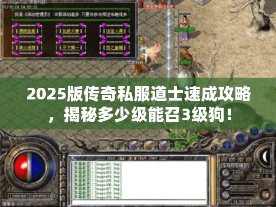 2025版传奇私服道士速成攻略，揭秘多少级能召3级狗！