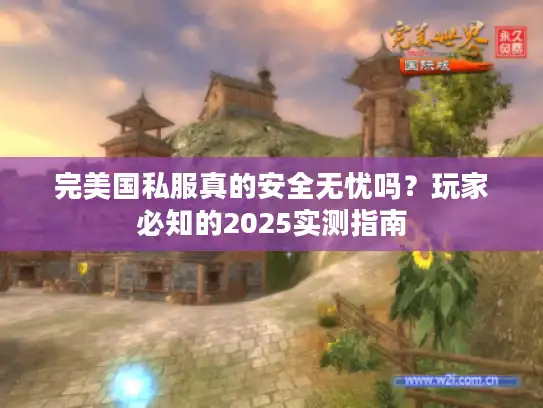 完美国私服真的安全无忧吗？玩家必知的2025实测指南