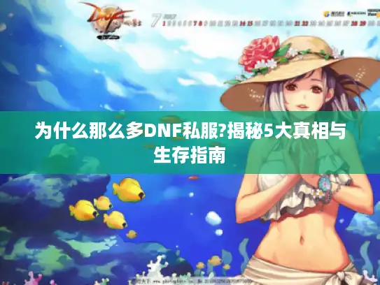 为什么那么多DNF私服?揭秘5大真相与生存指南