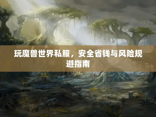 玩魔兽世界私服，安全省钱与风险规避指南