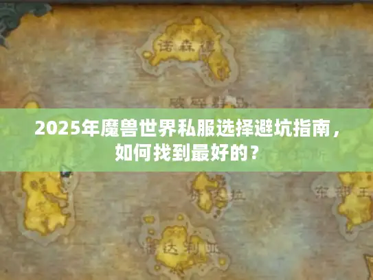 2025年魔兽世界私服选择避坑指南，如何找到最好的？