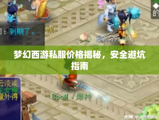 梦幻西游私服价格揭秘，安全避坑指南