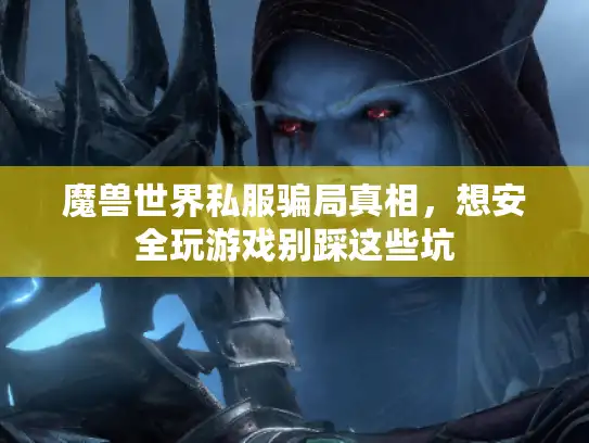 魔兽世界私服骗局真相，想安全玩游戏别踩这些坑