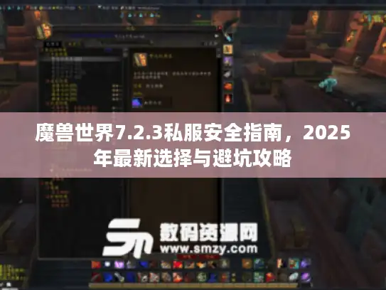 魔兽世界7.2.3私服安全指南，2025年最新选择与避坑攻略