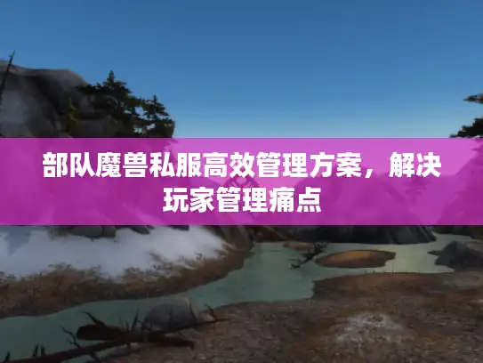 部队魔兽私服高效管理方案，解决玩家管理痛点