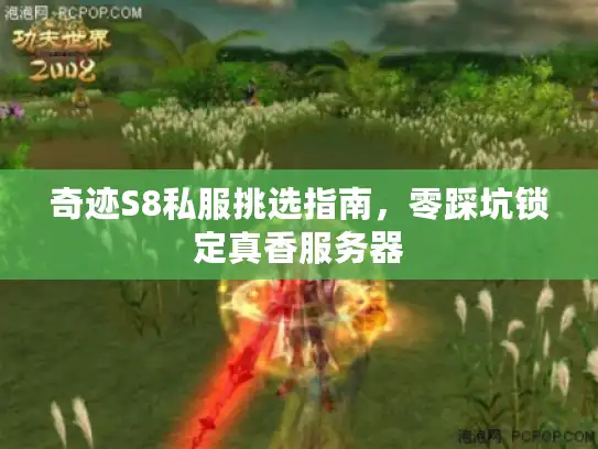 奇迹S8私服挑选指南，零踩坑锁定真香服务器