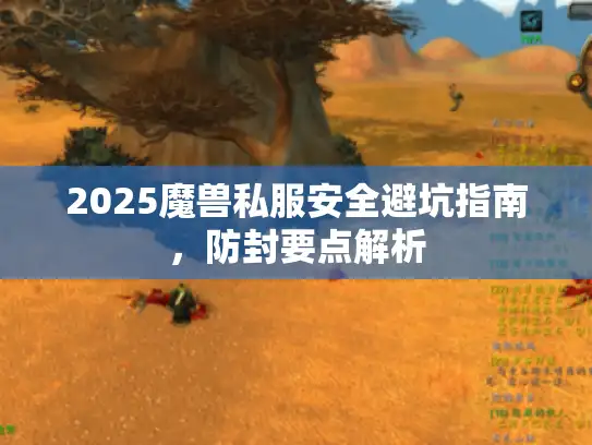 2025魔兽私服安全避坑指南，防封要点解析
