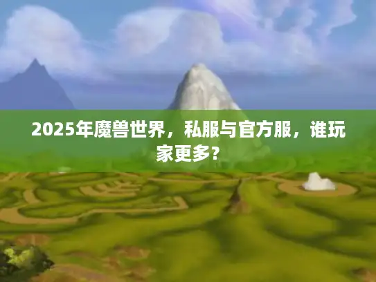 2025年魔兽世界，私服与官方服，谁玩家更多？