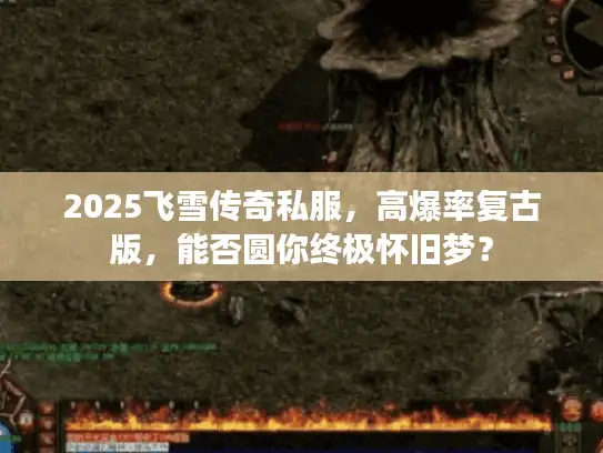 2025飞雪传奇私服，高爆率复古版，能否圆你终极怀旧梦？