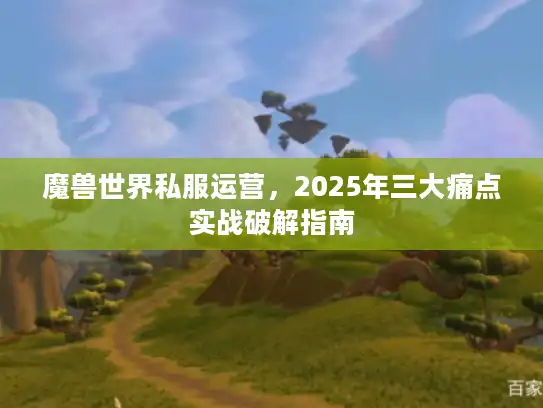 魔兽世界私服运营，2025年三大痛点实战破解指南