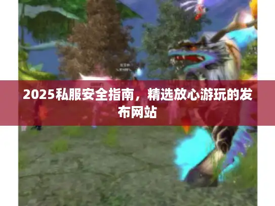2025私服安全指南，精选放心游玩的发布网站