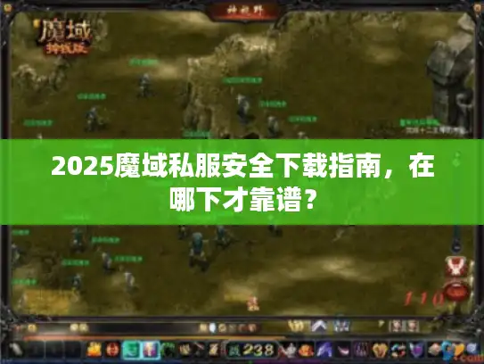 2025魔域私服安全下载指南，在哪下才靠谱？