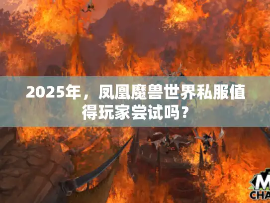 2025年，凤凰魔兽世界私服值得玩家尝试吗？