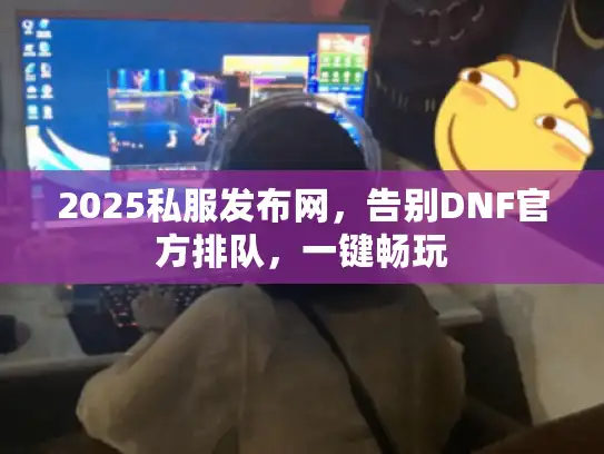 2025私服发布网，告别DNF官方排队，一键畅玩