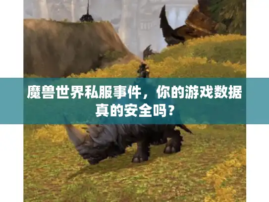 魔兽世界私服事件，你的游戏数据真的安全吗？