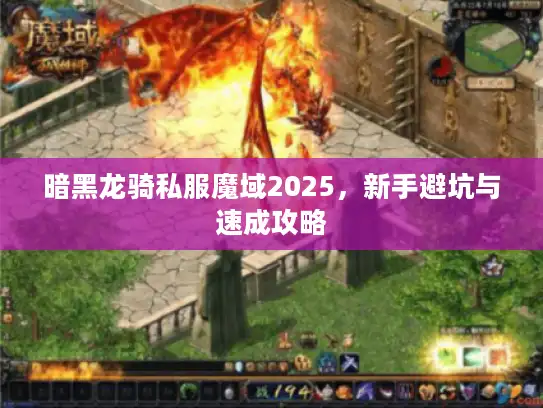 暗黑龙骑私服魔域2025，新手避坑与速成攻略