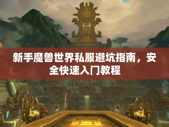 新手魔兽世界私服避坑指南，安全快速入门教程