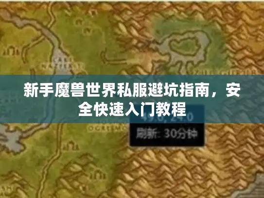 新手魔兽世界私服避坑指南，安全快速入门教程
