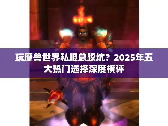 玩魔兽世界私服总踩坑？2025年五大热门选择深度横评