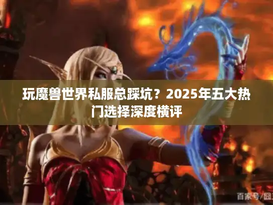 玩魔兽世界私服总踩坑？2025年五大热门选择深度横评