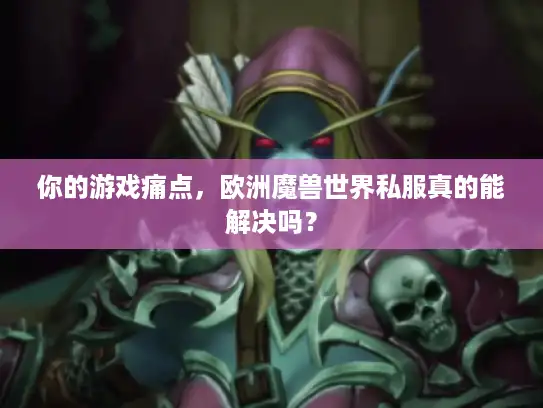 你的游戏痛点，欧洲魔兽世界私服真的能解决吗？