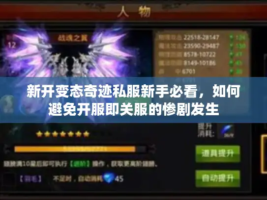 新开变态奇迹私服新手必看，如何避免开服即关服的惨剧发生