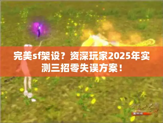 完美sf架设？资深玩家2025年实测三招零失误方案！