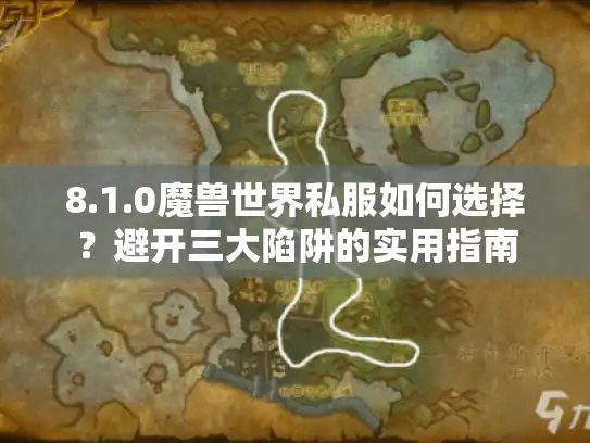 8.1.0魔兽世界私服如何选择？避开三大陷阱的实用指南