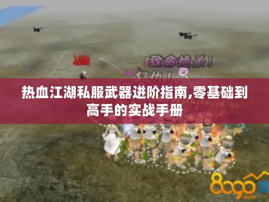 热血江湖私服武器进阶指南,零基础到高手的实战手册 热血江湖私服武器进阶指南,零基础到高手的实战手册