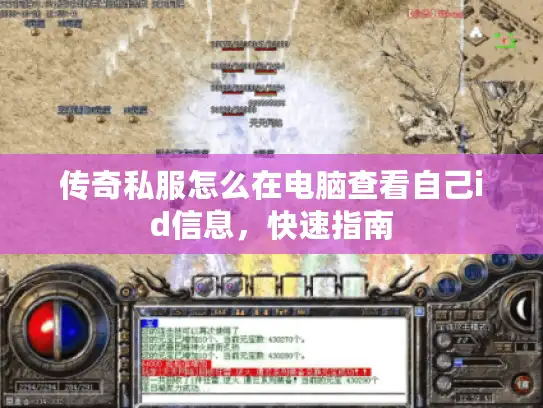 传奇私服怎么在电脑查看自己id信息，快速指南