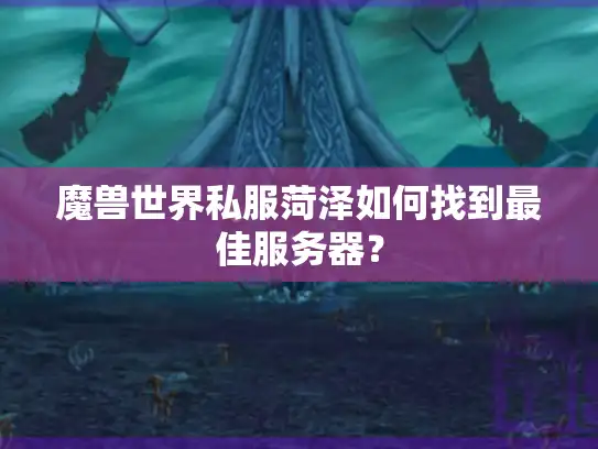 魔兽世界私服菏泽如何找到最佳服务器？