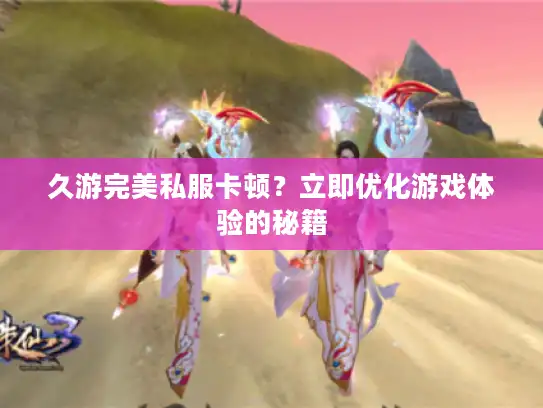 久游完美私服卡顿？立即优化游戏体验的秘籍