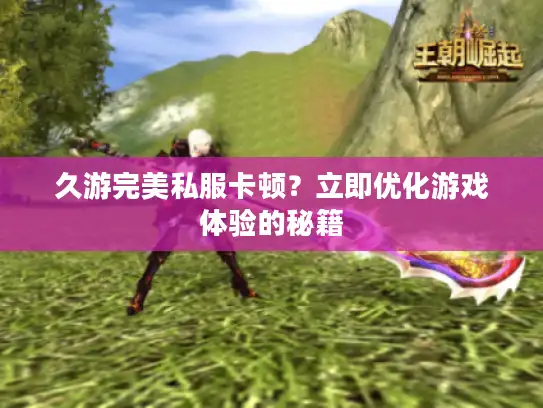 久游完美私服卡顿？立即优化游戏体验的秘籍