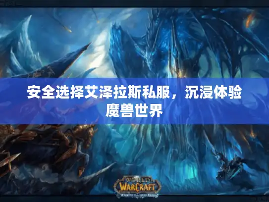 安全选择艾泽拉斯私服，沉浸体验魔兽世界