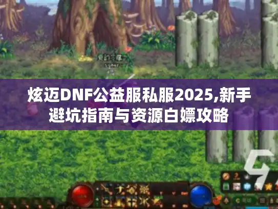 炫迈DNF公益服私服2025,新手避坑指南与资源白嫖攻略