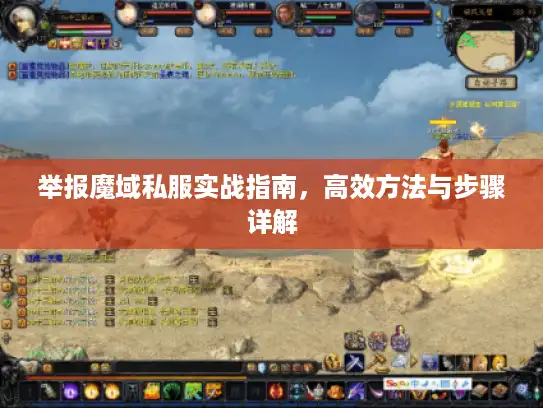 举报魔域私服实战指南，高效方法与步骤详解
