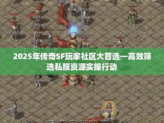 2025年传奇SF玩家社区大首选—高效筛选私服资源实操行动