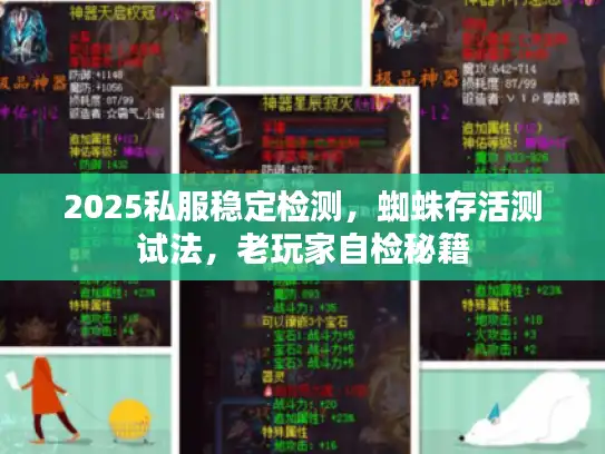 2025私服稳定检测，蜘蛛存活测试法，老玩家自检秘籍