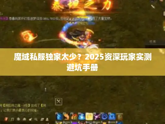 魔域私服独家太少？2025资深玩家实测避坑手册
