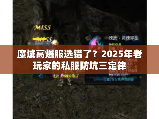 魔域高爆服选错了？2025年老玩家的私服防坑三定律
