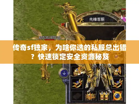 传奇sf独家，为啥你选的私服总出错？快速锁定安全资源秘笈