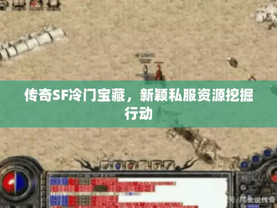 传奇SF冷门宝藏，新颖私服资源挖掘行动